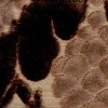 TRR00984