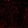 TPO00082