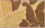 Кресло (Арт. 1066/N)